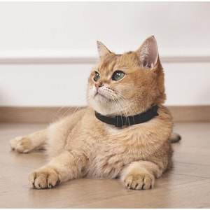 20123399 M-PETS KEEP CALM CALMİNG SAKİNLEŞTİCİ KEDİ TASMASI 4LÜ MİX COLOR