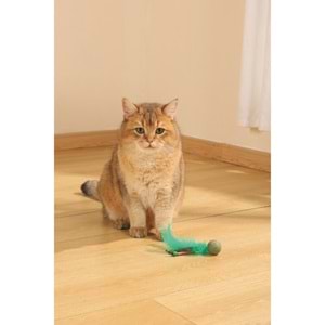 20640799 M-PETS CHARMY BUGBEAR CATNİPLİ KEDİ OYUNCAĞI GREEN
