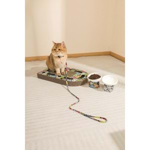 20641799 M-PETS URBAN STYLE FREESTYLE KARTON TIRMALAMA MİX COLOR