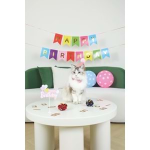 20644699 M-PETS PARTY TIME DİŞİ KEDİLER İÇİN DOĞUM GÜNÜ SETİ
