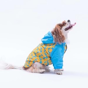 25510-PAWSTAR NICE CITRUS YAĞMURLUK 5Lİ SET M-L-L-XL-2XL