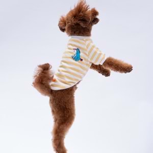 25706-PAWSTAR SARI EEYORE SWEAT 5Lİ SET (M-L-L-XL-2XL)