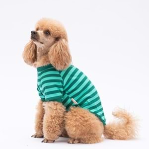 25707-PAWSTAR YEŞİL TİGGER SWEAT 5Lİ SET (M-L-L-XL-2XL)