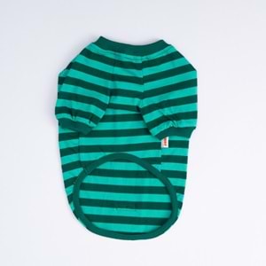 25707-PAWSTAR YEŞİL TİGGER SWEAT 5Lİ SET (M-L-L-XL-2XL)