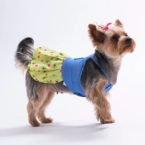 26311-PAWSTAR AVO BLİSS DENİM ELBİSE 5Lİ SET (S-M-L-L-XL)