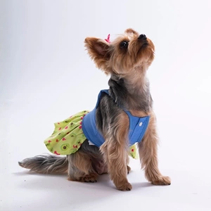 26311-PAWSTAR AVO BLİSS DENİM ELBİSE 5Lİ SET (S-M-L-L-XL)