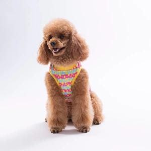 26830-PAWSTAR LEMON PARTY TSHİRT 6LI SET (S-M-L-L-XL-2XL)