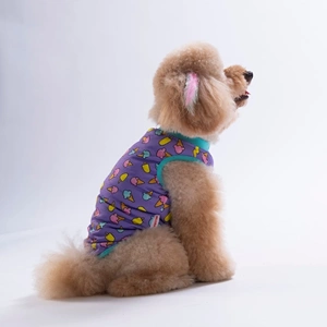 26834-PAWSTAR ICE CREAM TSHİRT 6LI SET (S-M-L-L-XL-2XL)