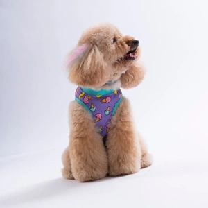 26834-PAWSTAR ICE CREAM TSHİRT 6LI SET (S-M-L-L-XL-2XL)