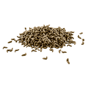 160057-TETRA REPTOMİN 250ML