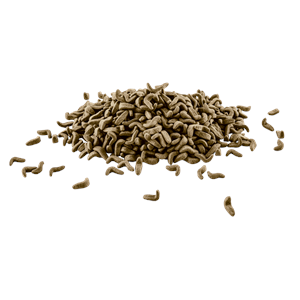 160088-TETRA REPTOMİN 100ML