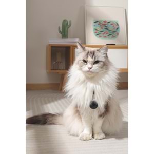 60102799 M-PETS FEARLESS ULTRASONIC PİRE ve KENE KOVUCU BLACK