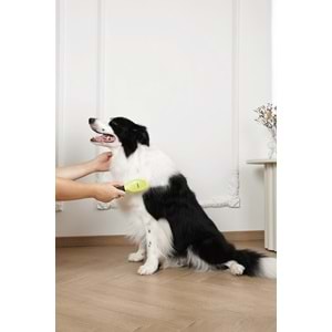 60107199 M-PETS CLICK AND GROOM KEDİ ve KÖPEK MASAJ UCLU FIRÇA