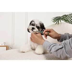 60107699 M-PETS PROCARE KEDİ ve KÖPEKLER İÇİN İLAÇ ENJEKTÖRÜ