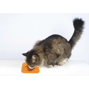 60515505 M-PETS LECCA SIVI ÖDÜL MATI TURUNCU (S)