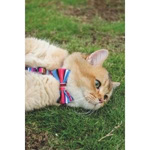 60800399 M-PETS URBAN STYLE JAZZ STRIPES PAPYON (XS-S)