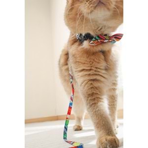 60800499 M-PETS URBAN STYLE FREESTYLE PAPYON (XS-S)