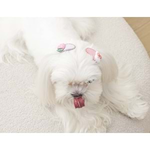 60901699 M-PETS GLAM KÖPEKLER İÇİN AKSESUAR TOKA PİNK