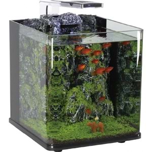 NANUX ROCK BLUBİOS DEKORLU NANO AKVARYUM 25X27X27CM