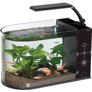 FL7956 LOMAS BULLET NANO 36 AYDINLATMALI NANO AKVARYUM 20,5X36,5X22,5CM