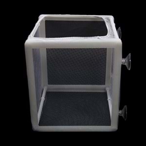 NB-3201 BOYU TEKLİ TÜL YAVRULUK