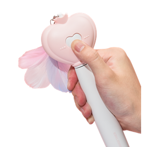 PAWGETHER TEASER 1/1S KEDİ OYUNCAĞI LAZERLİ