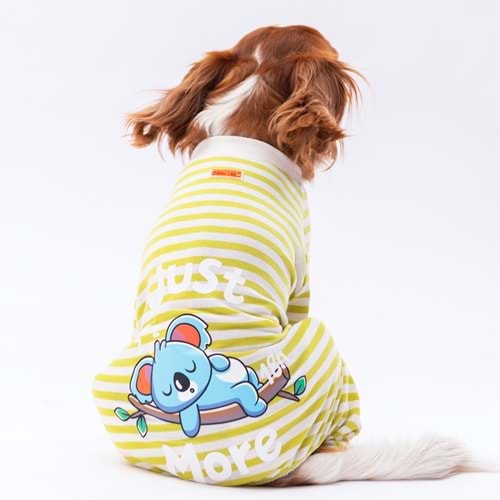 24906-PAWSTAR YEŞİL JUST MORE PİJAMA TULUM 5Lİ SET(M-L-L-XL-2XL)