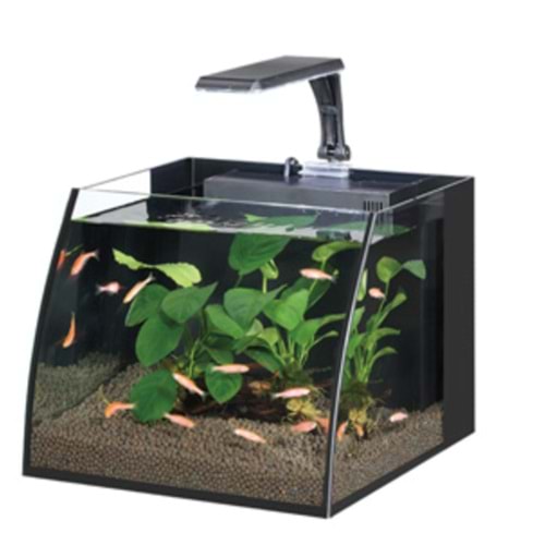 HAQOS BELLY BOX 30 AYDINLATMALI NANO AKVARYUM 16L BLACK