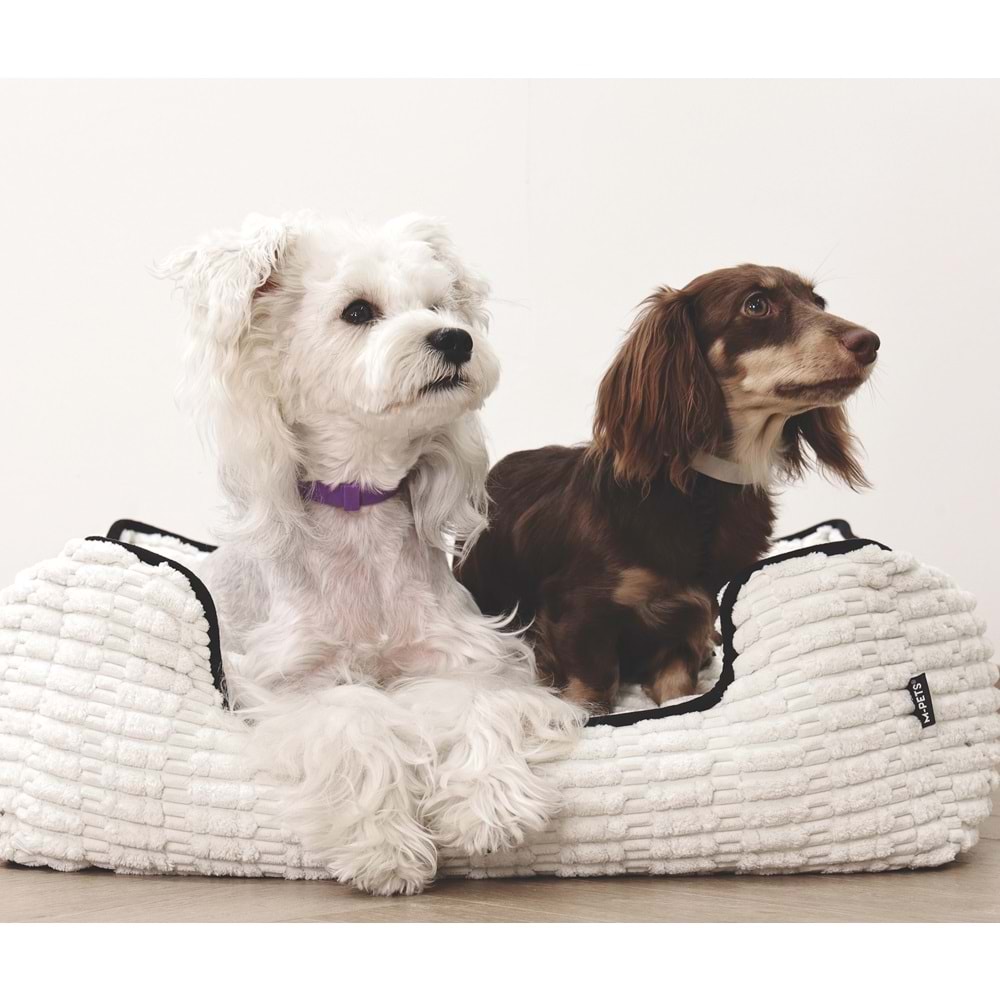 10178799 M-PETS KEEP CALM CALMİNG SAKİNLEŞTİCİ KÖPEK TASMASI 4LÜ MİX COLOR