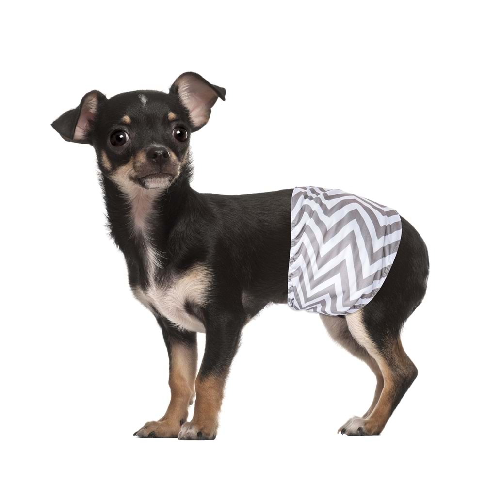 10179399 M-PETS ERKEK KÖPEKLER İÇİN YIKANABİLİR KÜLOT 2Lİ (XS)