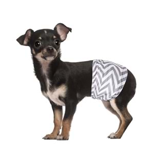 10179399 M-PETS ERKEK KÖPEKLER İÇİN YIKANABİLİR KÜLOT 2Lİ (XS)