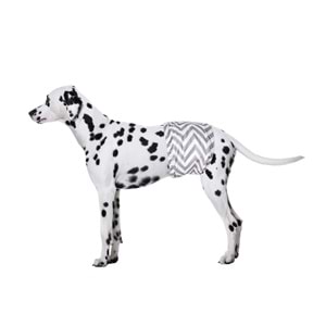 10179699 M-PETS ERKEK KÖPEKLER İÇİN YIKANABİLİR KÜLOT 2Lİ (L)