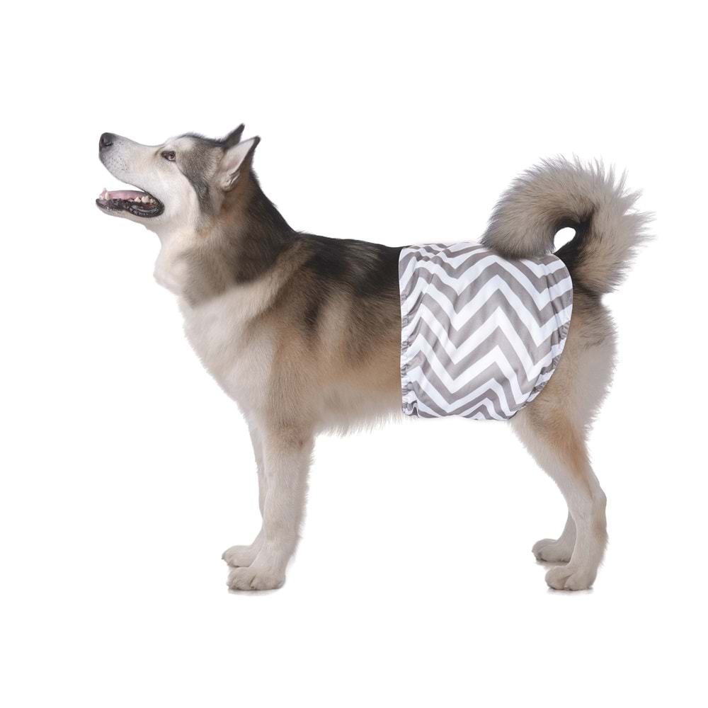 10179799 M-PETS ERKEK KÖPEKLER İÇİN YIKANABİLİR KÜLOT 2Lİ (XL)