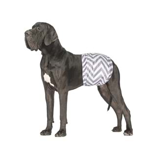 10179999 M-PETS ERKEK KÖPEKLER İÇİN YIKANABİLİR KÜLOT 2Lİ (XXXL)