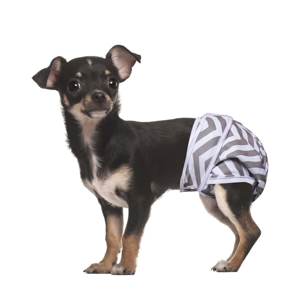 10180099 M-PETS DİŞİ KÖPEKLER İÇİN YIKANABİLİR KÜLOT 2Lİ (XS)