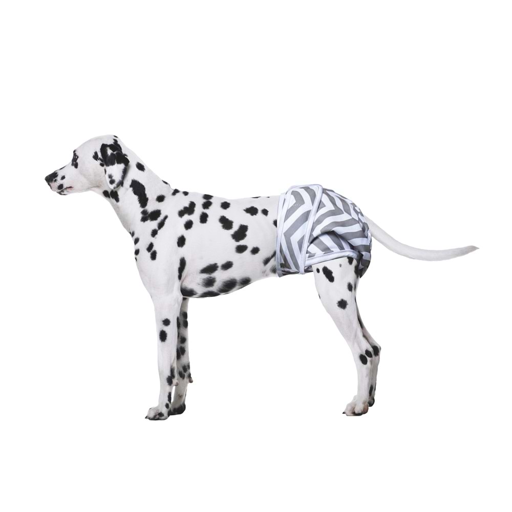 10180399 M-PETS DİŞİ KÖPEKLER İÇİN YIKANABİLİR KÜLOT 2Lİ (L)