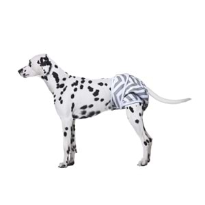 10180399 M-PETS DİŞİ KÖPEKLER İÇİN YIKANABİLİR KÜLOT 2Lİ (L)