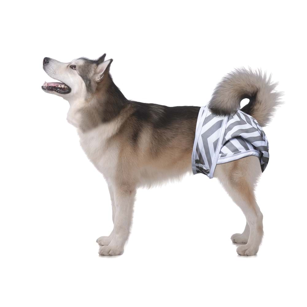10180499 M-PETS DİŞİ KÖPEKLER İÇİN YIKANABİLİR KÜLOT 2Lİ (XL)