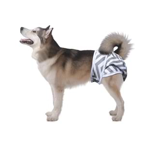 10180499 M-PETS DİŞİ KÖPEKLER İÇİN YIKANABİLİR KÜLOT 2Lİ (XL)