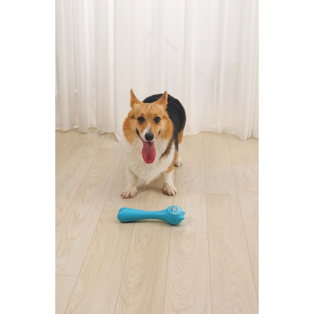 10638017 M-PETS ROB ÖDÜL HAZNELİ KAUÇUK KÖPEK OYUNCAĞI BLUE