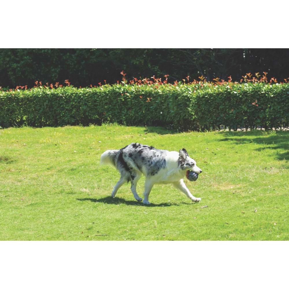 10652213 M-PETS COTO GREY BALL 9,5CM ÖRGÜ TOP OYUNCAK