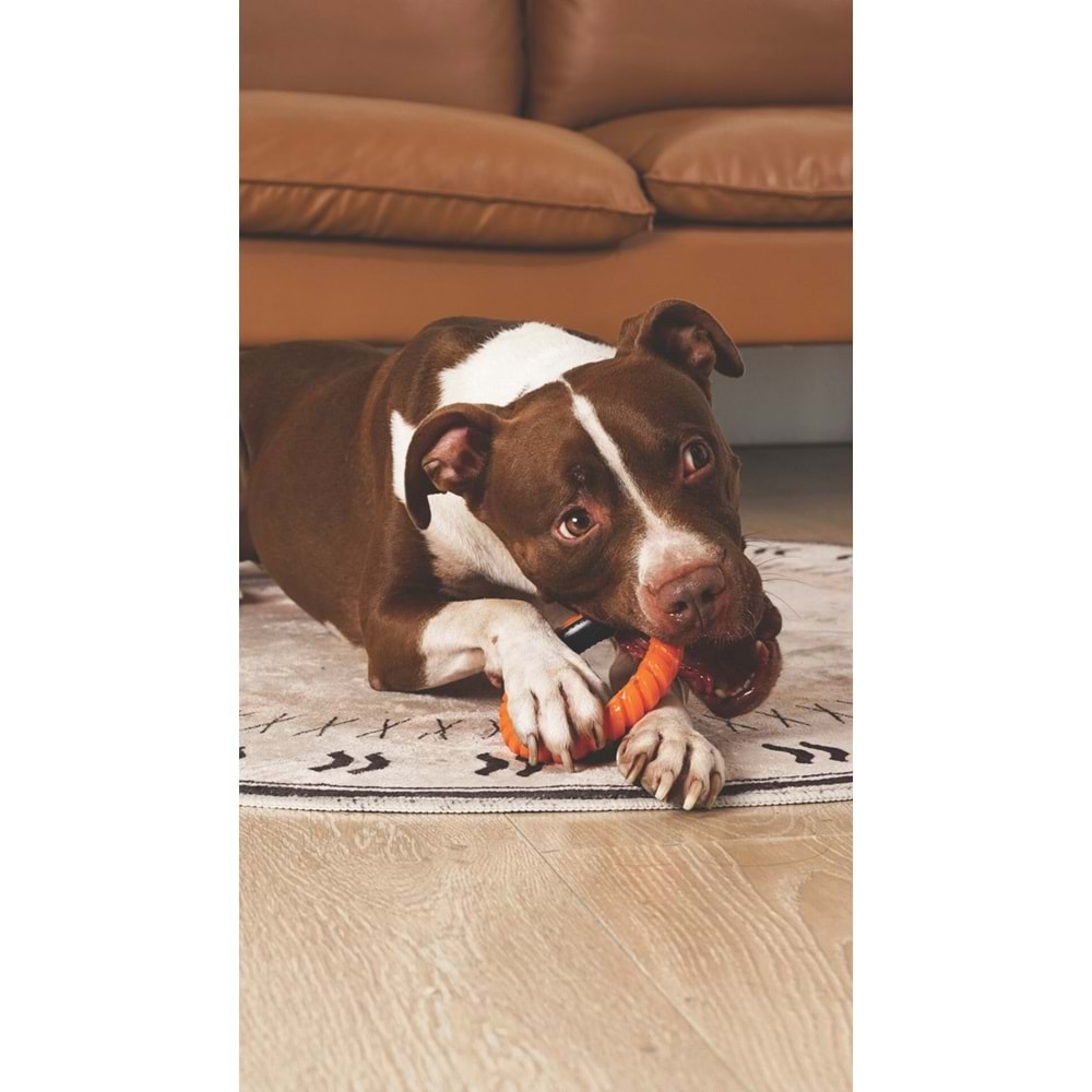 10660599 M-PETS RING KING KÖPEK OYUNCAĞI SINGLE ORANGE/BLACK