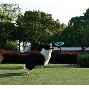 10671999 M-PETS SPRINTPUFF FRISBEE KÖPEK OYUNCAĞI PİNK/GREEN