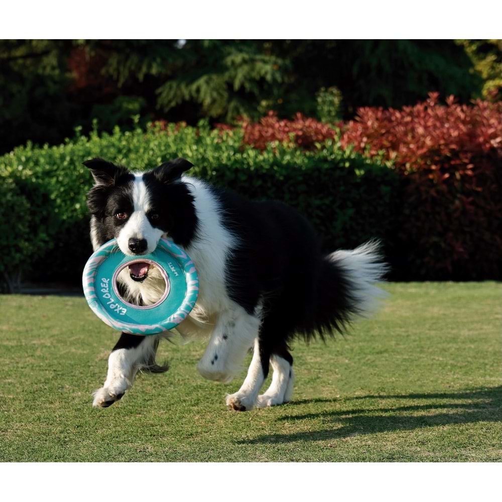 10671999 M-PETS SPRINTPUFF FRISBEE KÖPEK OYUNCAĞI PİNK/GREEN
