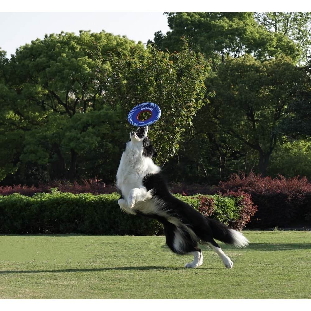 10672099 M-PETS SPRINTPUFF FRISBEE KÖPEK OYUNCAĞI BLUE/BLUE