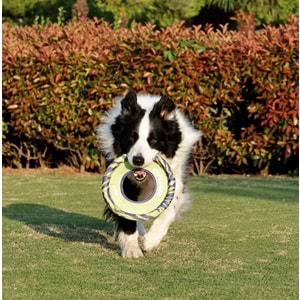 10672199 M-PETS SPRINTPUFF FRISBEE KÖPEK OYUNCAĞI GREEN/PURPLE