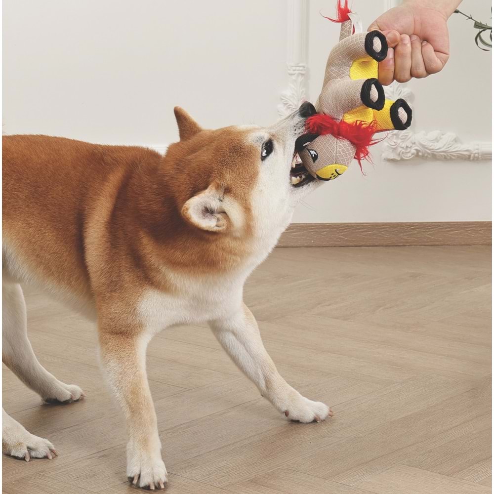 10674199 M-PETS MEGA MİNİ LİON KÖPEK OYUNCAĞI