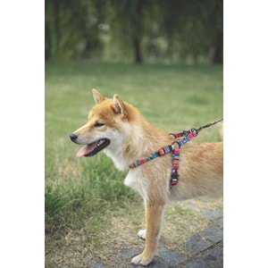 10836299 M-PETS URBAN STYLE JAZZ STRIPES GÖĞÜS TASMASI (S)