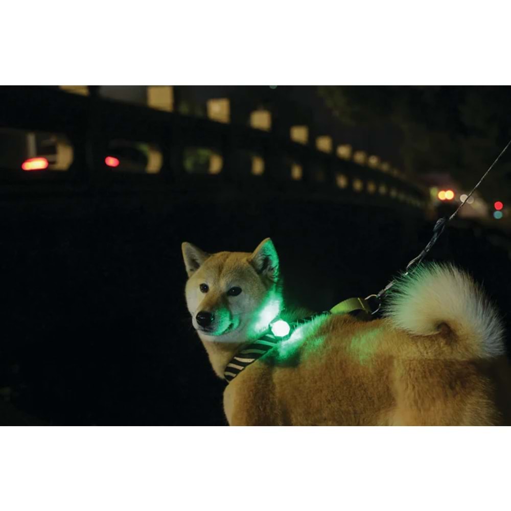 10855299 M-PETS FLASH LED JEWEL GÜVENLİK IŞIĞI DİSPLAY 24LÜ MULTİCOLOR
