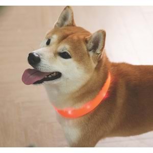 10855699 M-PETS FLASH LED BOYUN TASMA ORANGE (M)